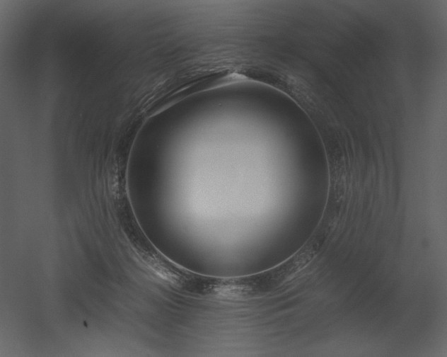 X0000053010268200507081307