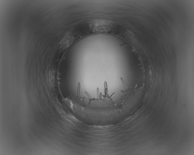 X0000053010271200507081307