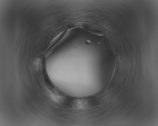 X0000053010275200507081307