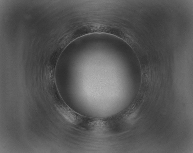 X0000053010276200507081307