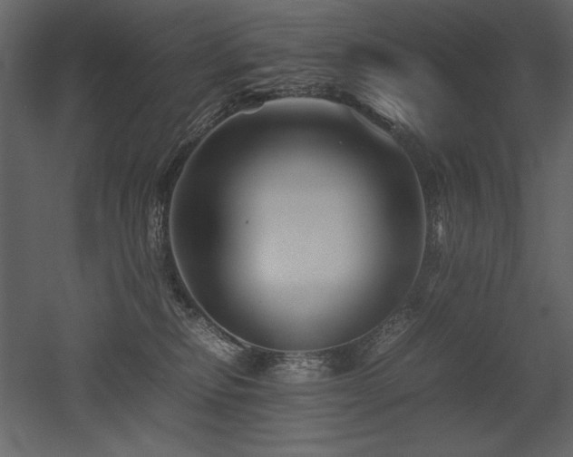 X0000053010278200507081307