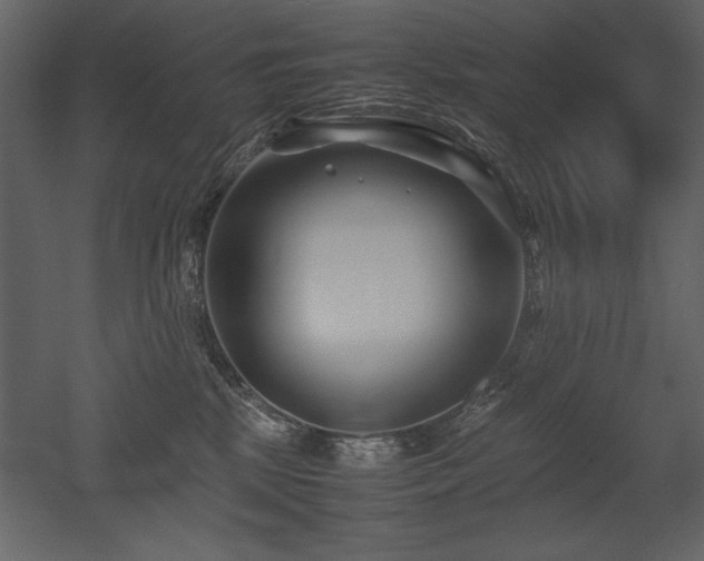 X0000053010281200507081308