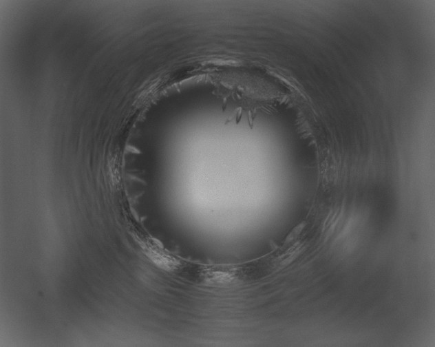 X0000053010285200507081308