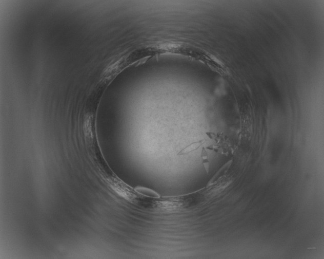 X0000053010286200507081308