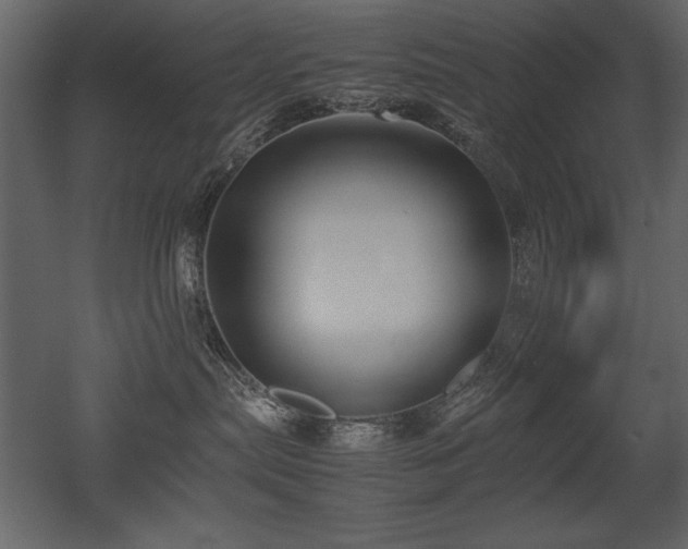 X0000053010287200507081308
