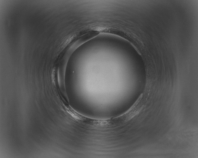 X0000053010288200507081308