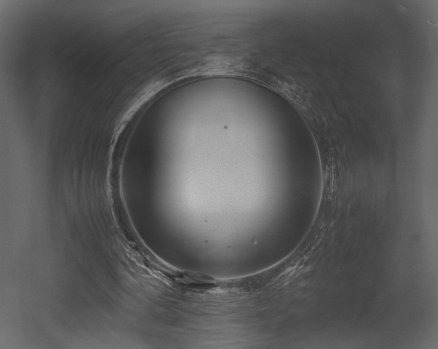 X0000053010292200507081307
