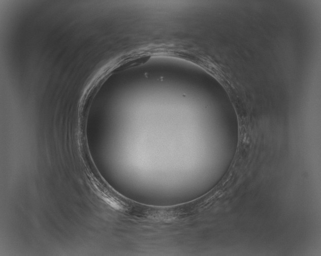 X0000053010293200507081307