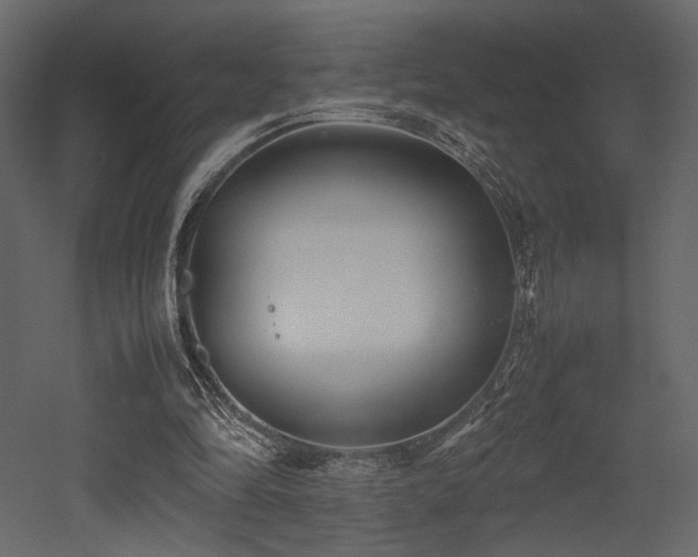 X0000053010294200507081307