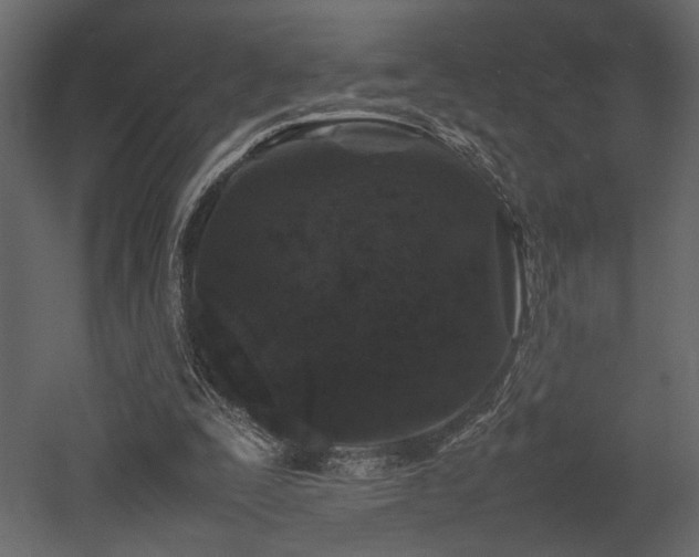 X0000053010295200507081307