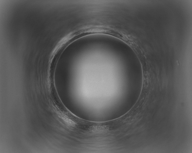 X0000053010296200507081307