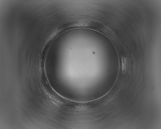 X0000053010300200507081307