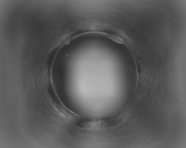 X0000053010306200507081307