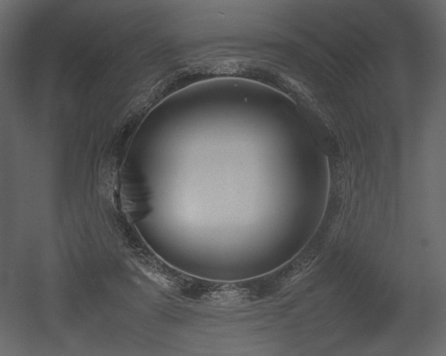 X0000053010307200507081306