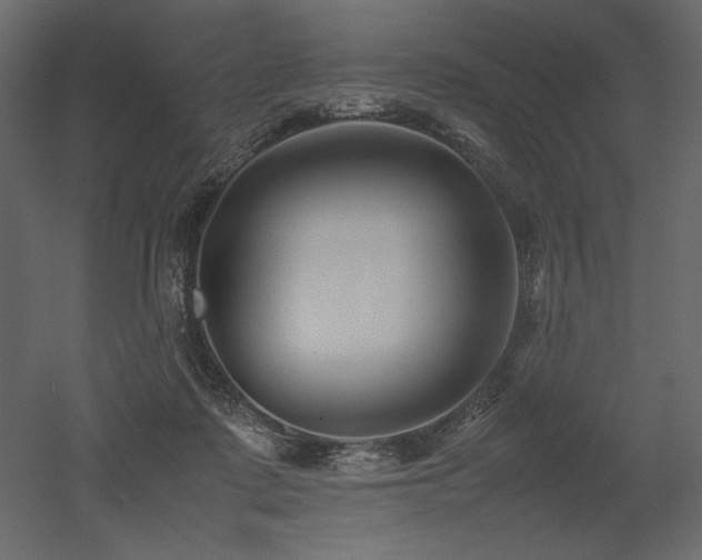 X0000053010315200507081306