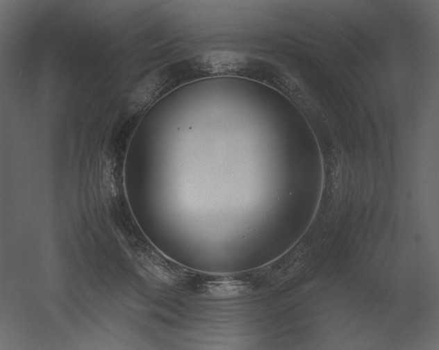 X0000053010316200507081306
