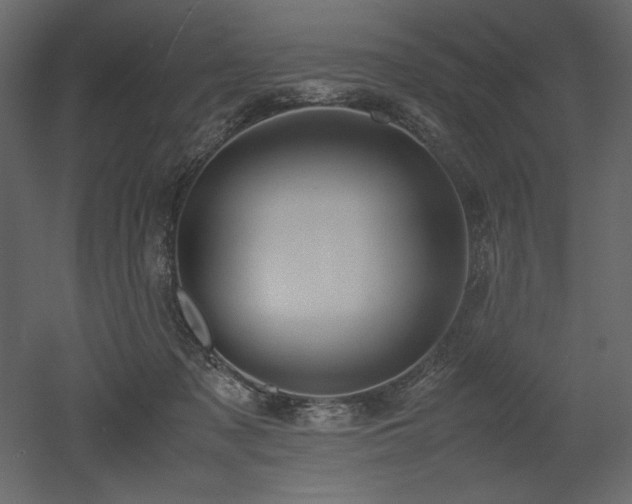 X0000053010317200507081306