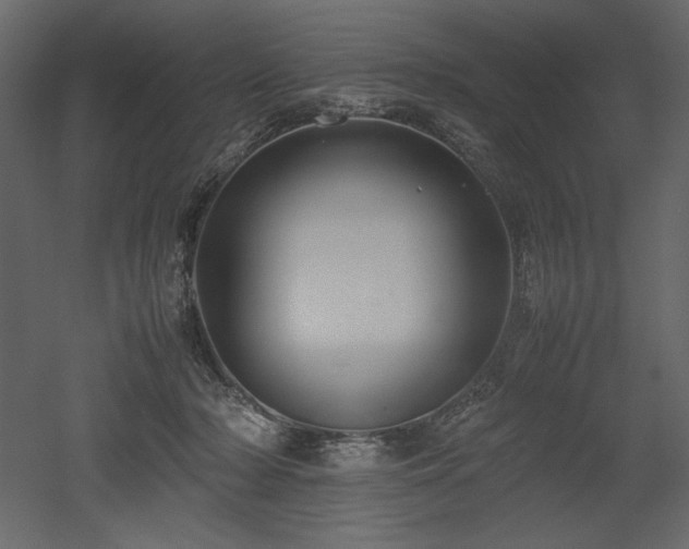 X0000053010318200507081306