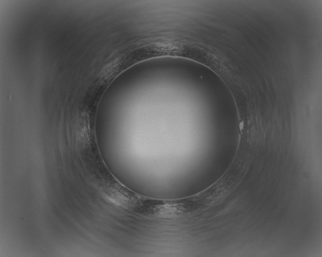 X0000053010320200507081306