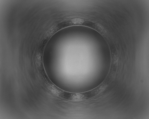 X0000053010321200507081306