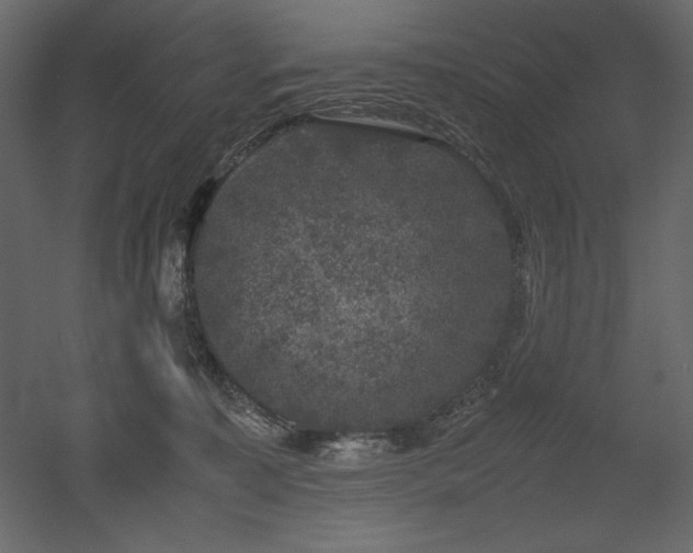 X0000053010323200507081306