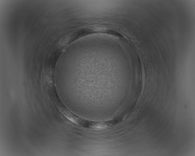 X0000053010325200507081306