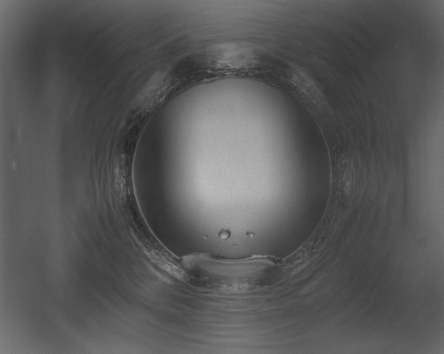 X0000053010328200507081306