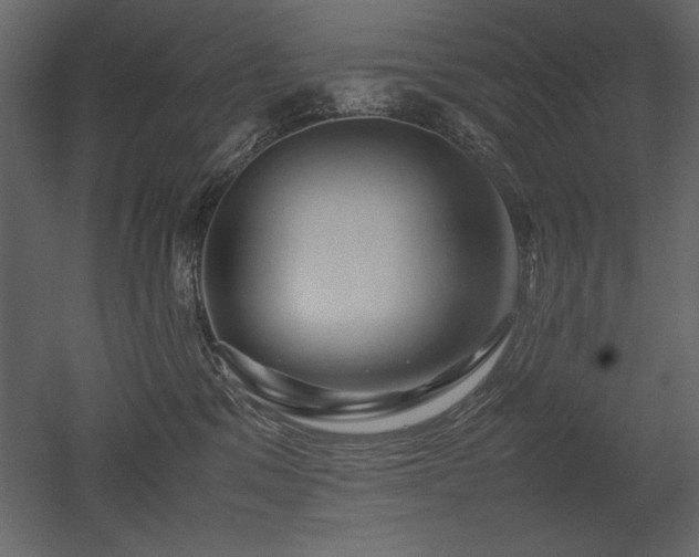 X0000053010329200507081306