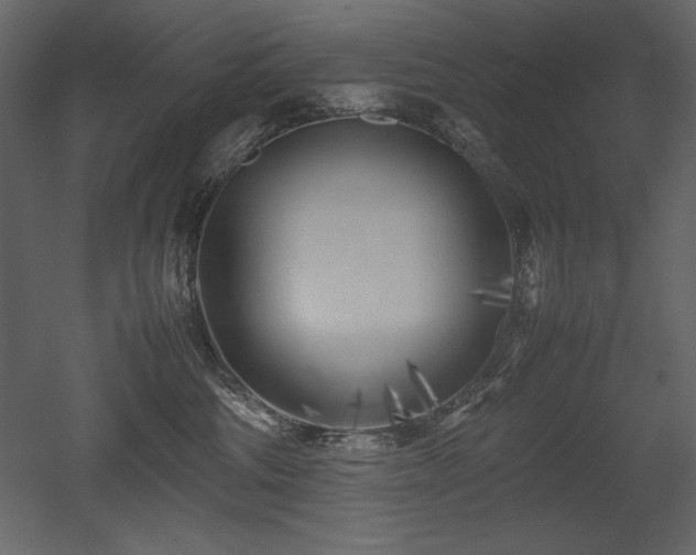 X0000053010330200507081306