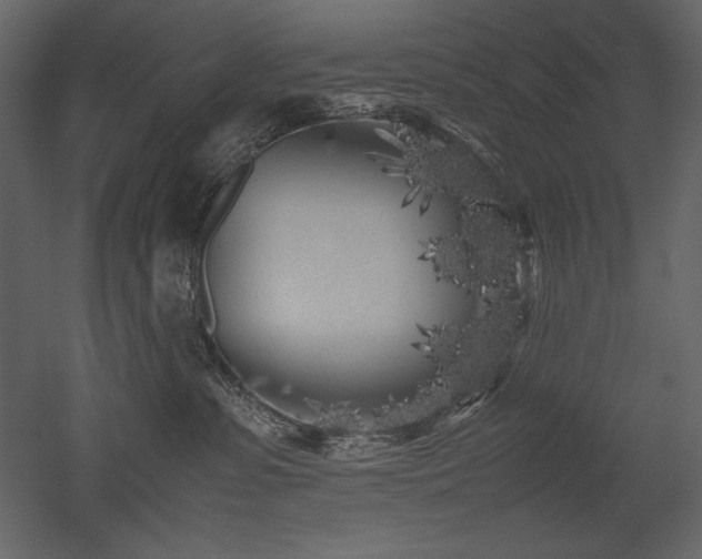 X0000053010331200507081306