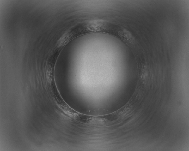 X0000053010332200507081306
