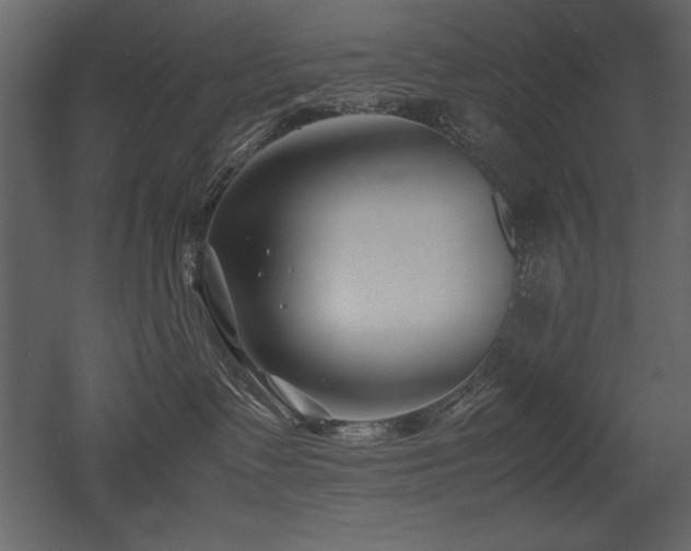 X0000053010335200507081306