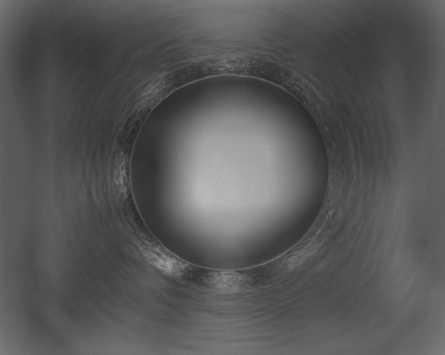 X0000053010336200507081306