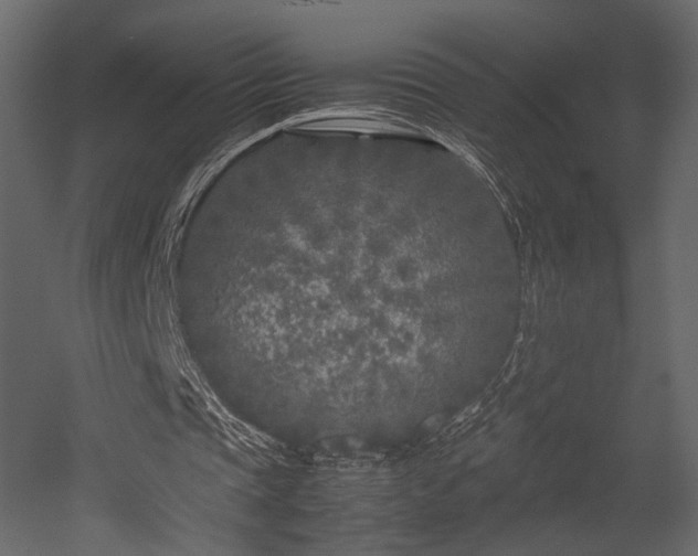 X0000053010337200507081305