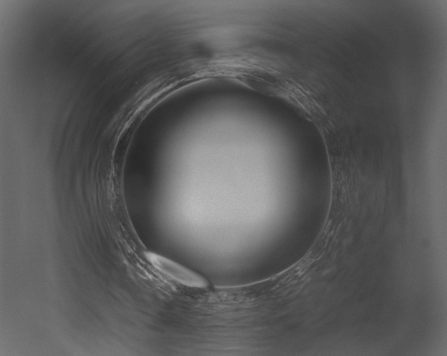X0000053010338200507081305