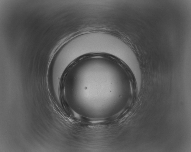 X0000053010340200507081305