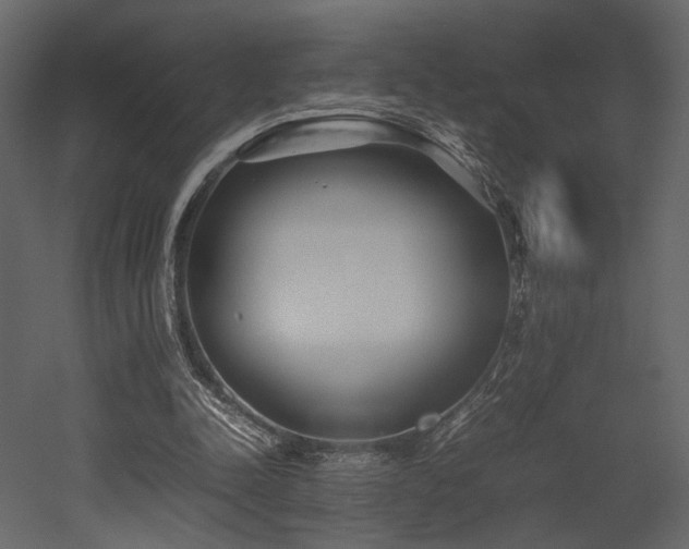 X0000053010342200507081305