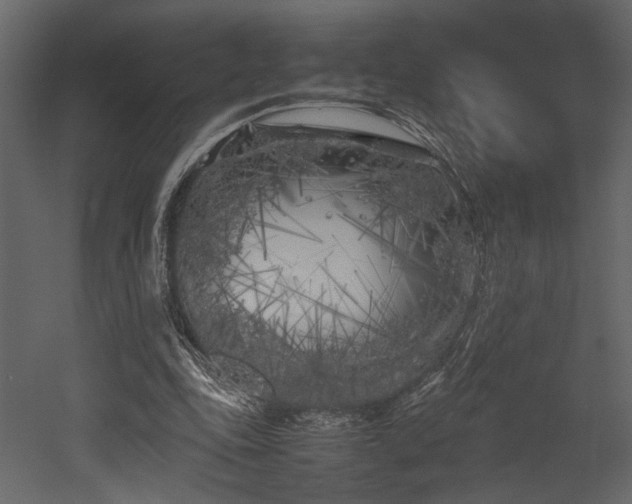 X0000053010343200507081305