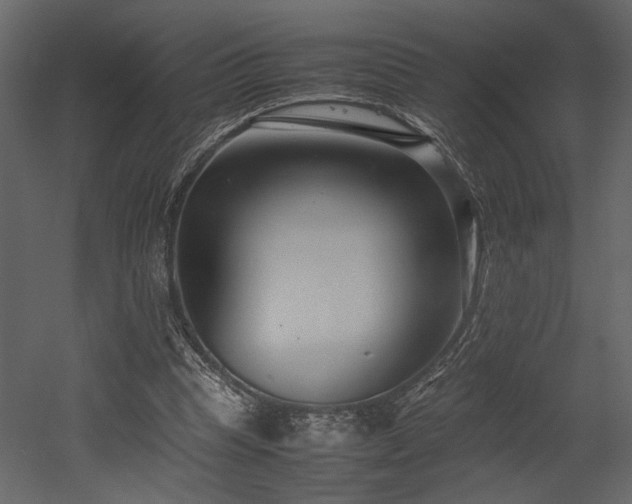 X0000053010345200507081305