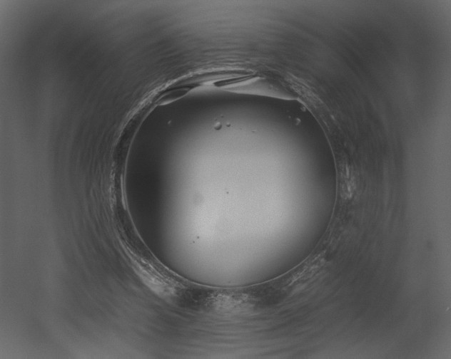 X0000053010346200507081305