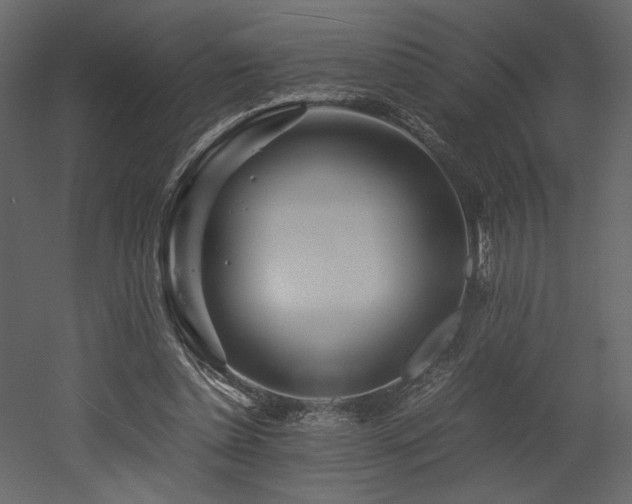 X0000053010348200507081305