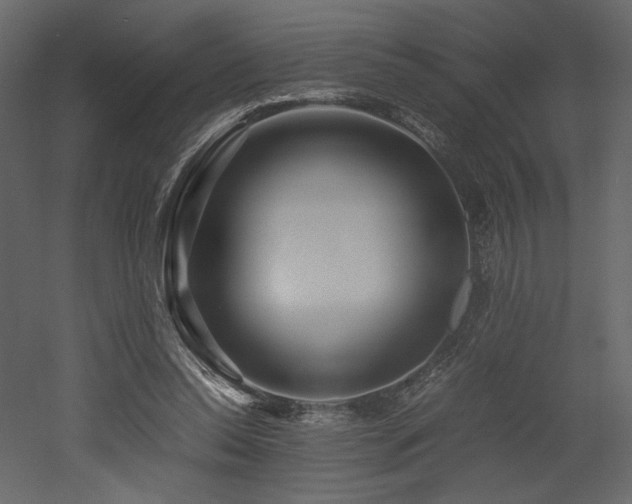 X0000053010350200507081305