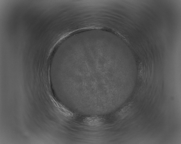 X0000053010351200507081305