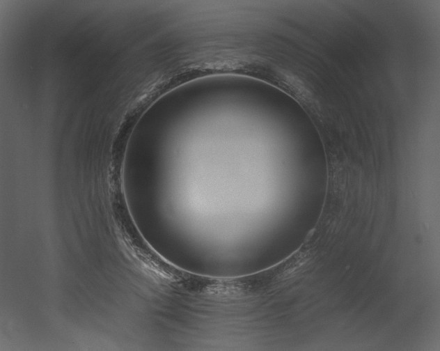 X0000053010354200507081305
