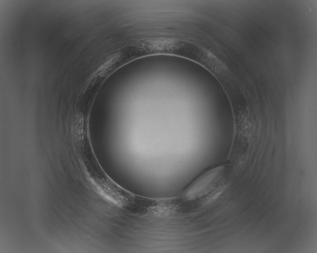 X0000053010356200507081305
