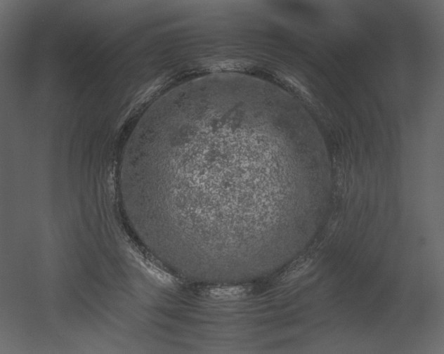 X0000053010357200507081306