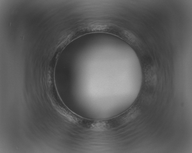 X0000053010362200507081306