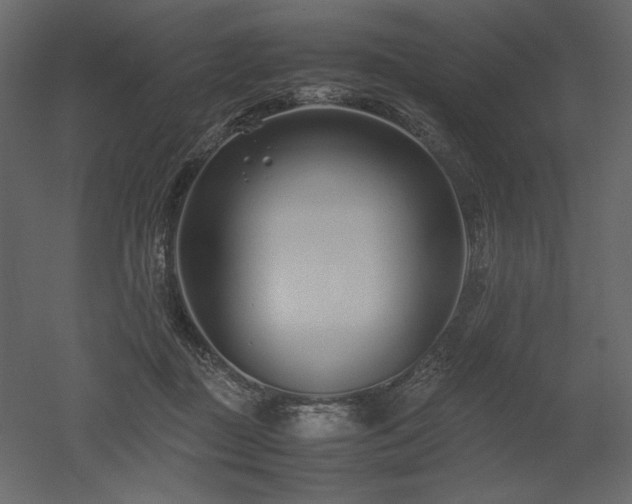 X0000053010363200507081306