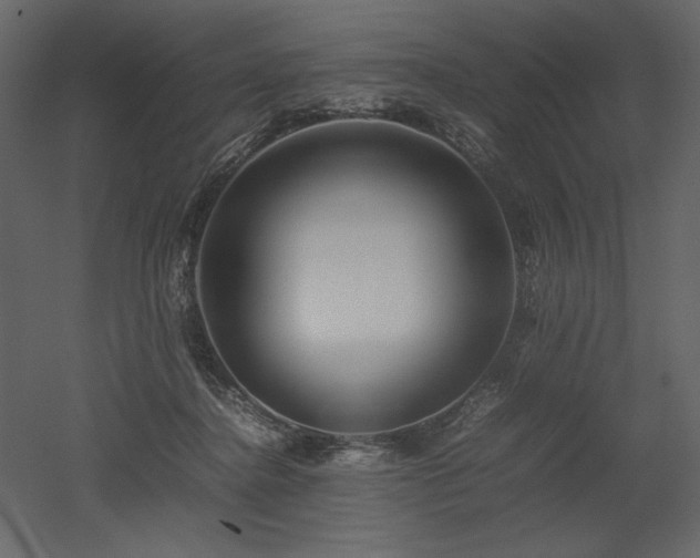 X0000053010364200507081306