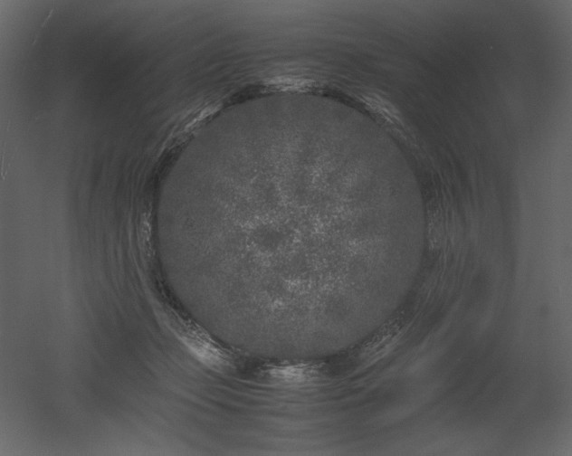 X0000053010365200507081306